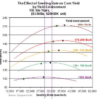 seed rates